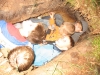 westernkamp2007138.jpg